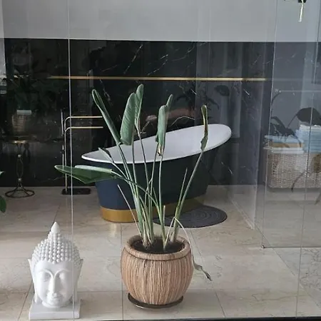 Luxury Penthouse Near Centre Of Apartamento Breslavia