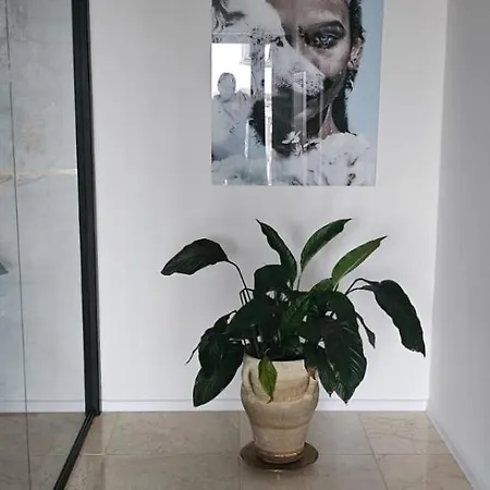 Luxury Penthouse Near Centre Of Apartmán *